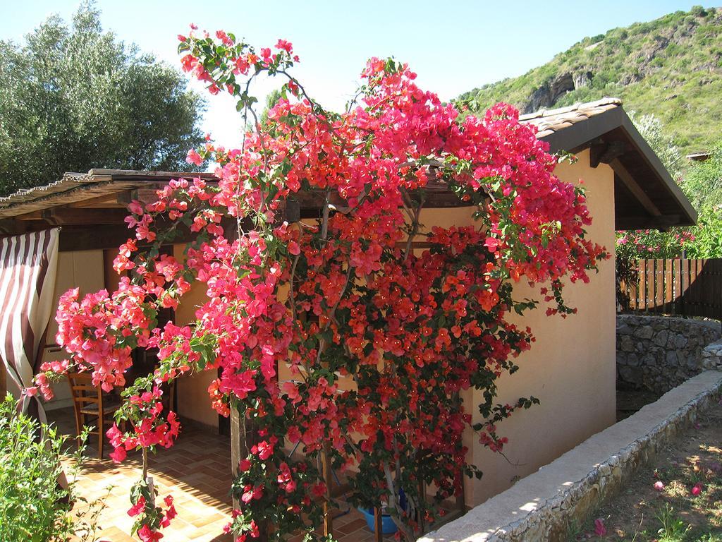 Family Resort Cala Di Luna Marina di Camerota Exterior photo